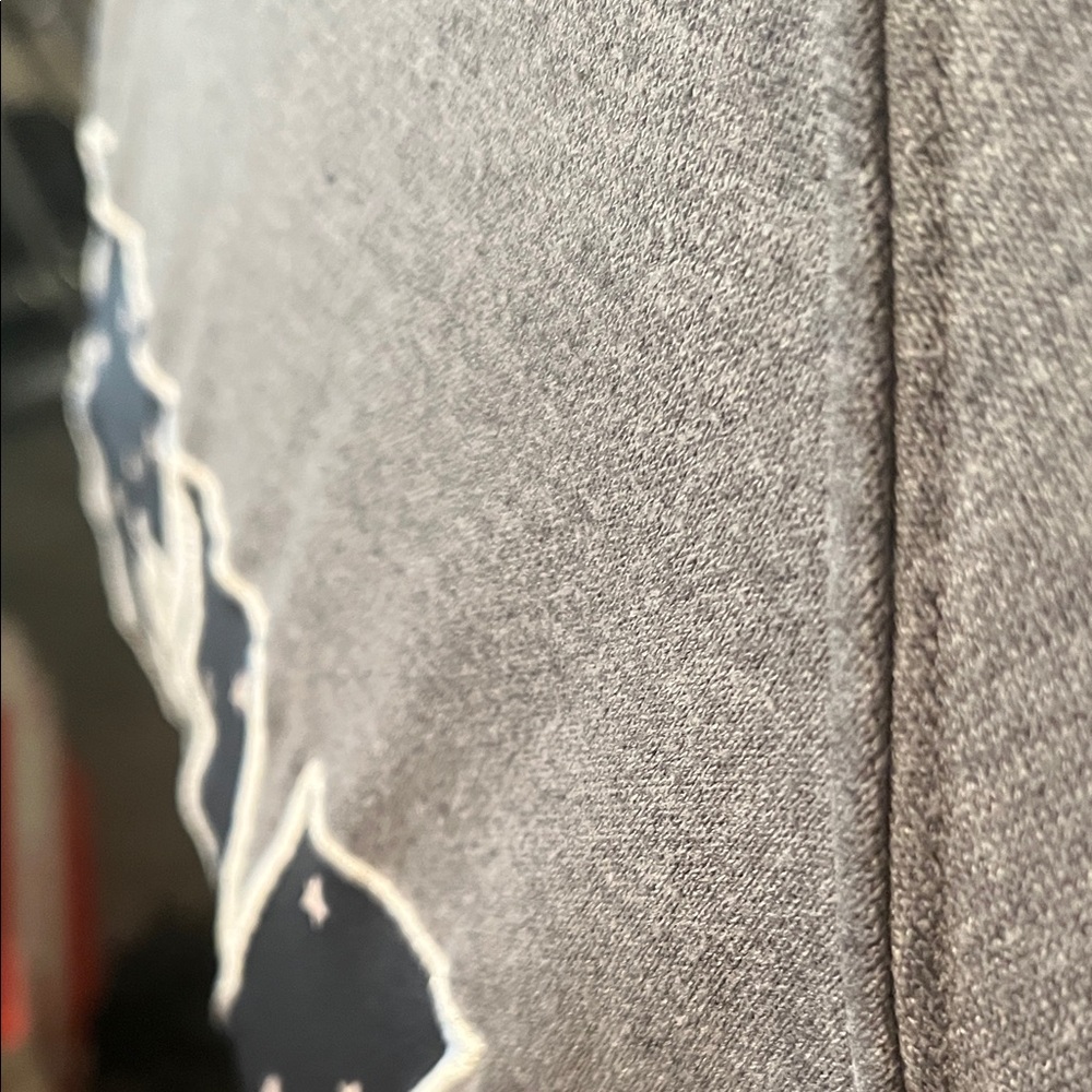 State of Mine Texas TX Women's Gray Raglan Crew Neck Sweatshirt | Size S - Picture 5 of 11